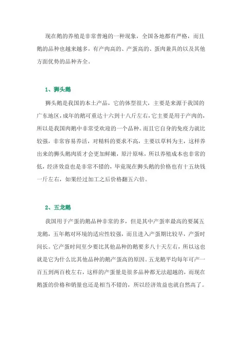 养鹅经验：推荐几种经济效益高的鹅品种