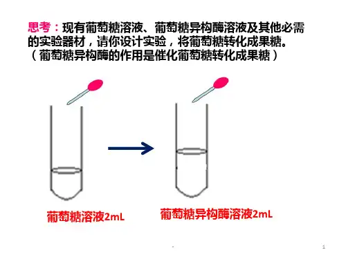 酵母细胞固定化PPT课件