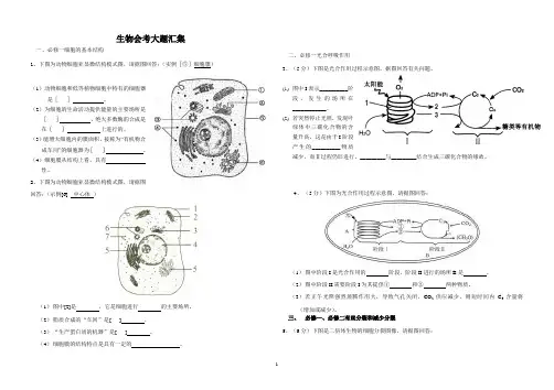 云南省历年学业水平考试生物大题汇集附答案版