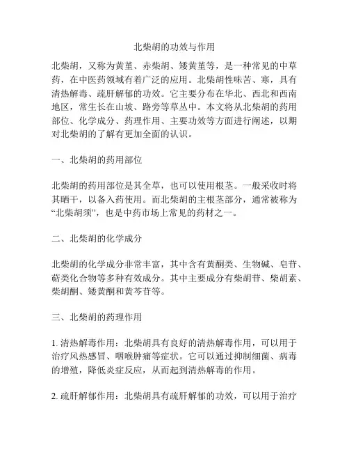 北柴胡的功效与作用