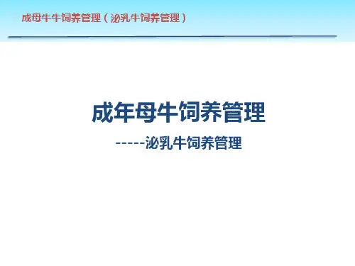 泌乳牛饲养管理