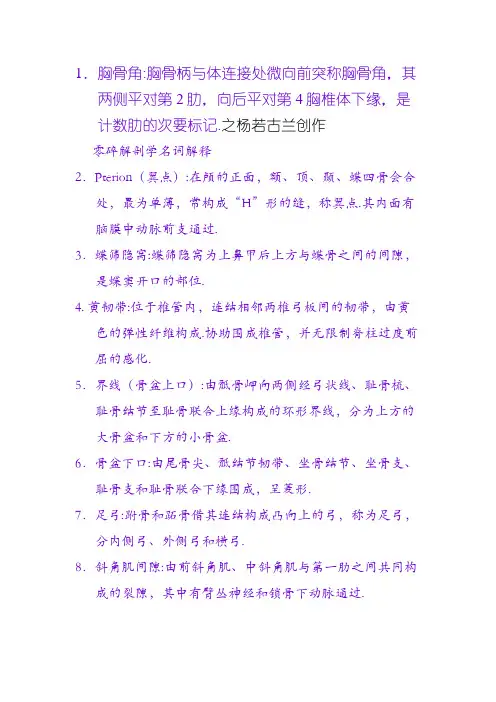 系统解剖学名词解释(重点解释)(免费)