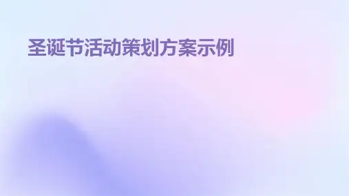 圣诞节活动策划方案示例PPT