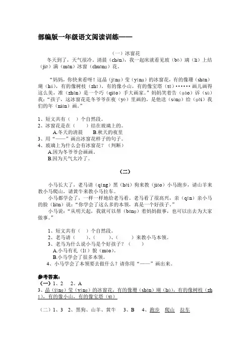 部编版一年级语文阅读训练《冰窗花》