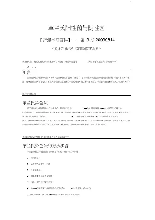 革兰氏阳性菌和革兰氏阴性菌