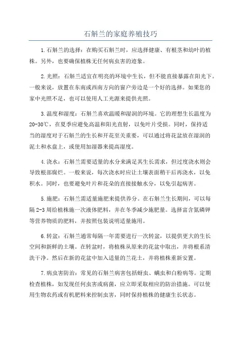 石斛兰的家庭养殖技巧