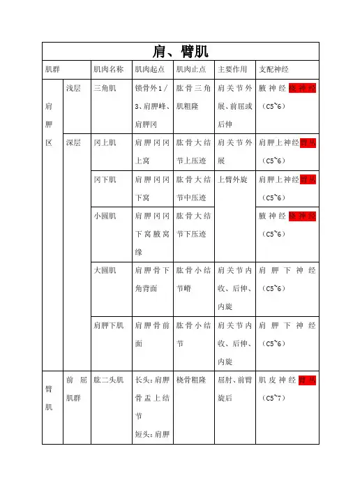 上肢肌肉分布神经支配