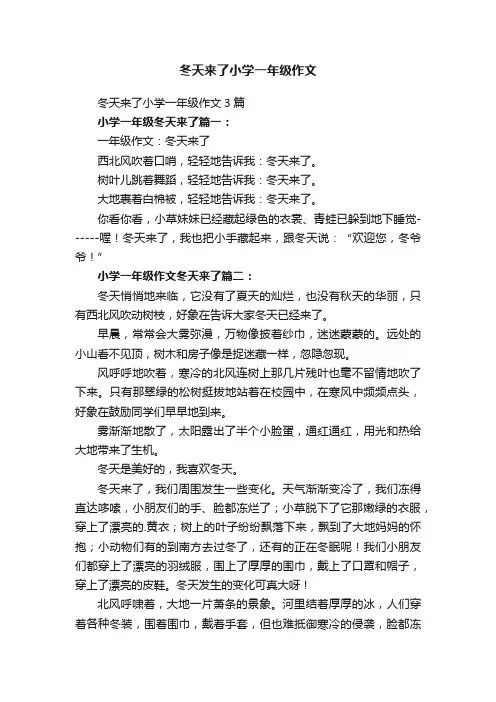 冬天来了小学一年级作文3篇