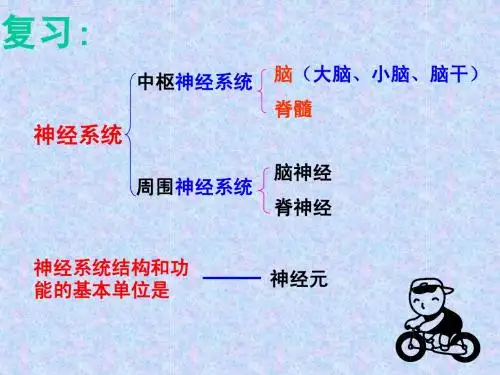 神经调节的基本方式