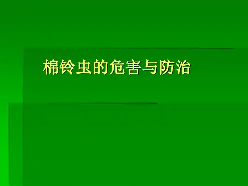 棉铃虫的防治