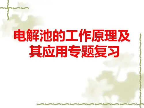 2020届高考电解池的工作原理及其应用专题复习 优秀课件 PPT(共16张)