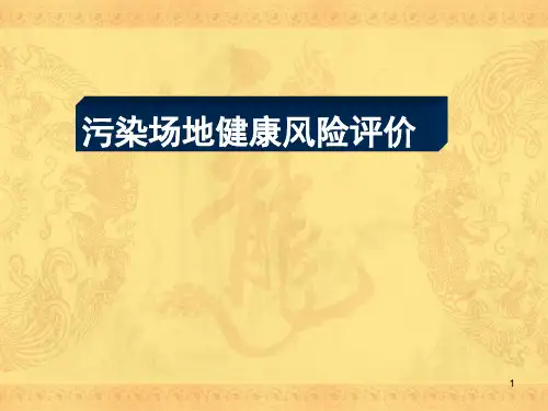 污染场地健康风险评价ppt课件