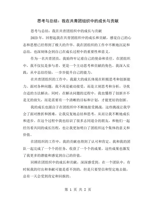 思考与总结：我在共青团组织中的成长与贡献