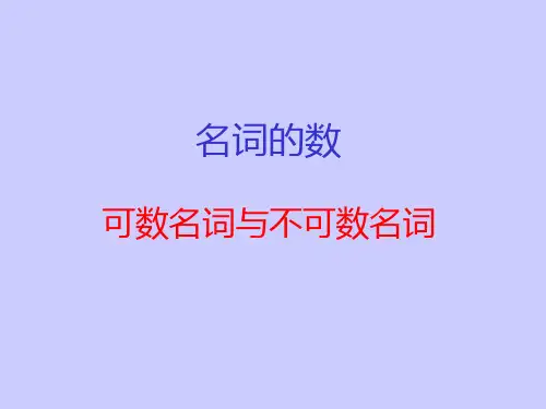 中考英语专题复习 可数名词与不可数名词(共23张PPT)