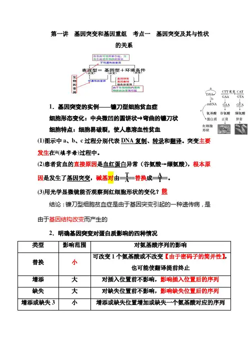 高三生物一轮复习讲义第一讲基因突变和基因重组 