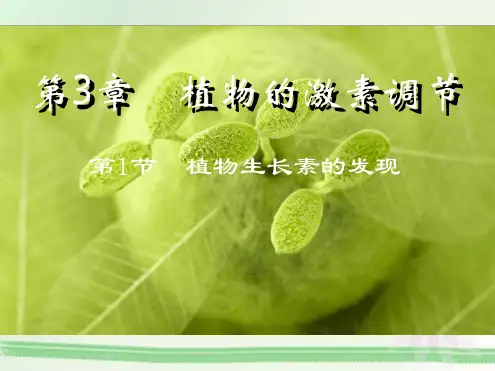 人教版高中生物必修3第3章第1节 植物生长素的发现共28张