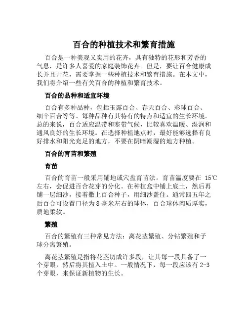百合的种植技术和繁育措施