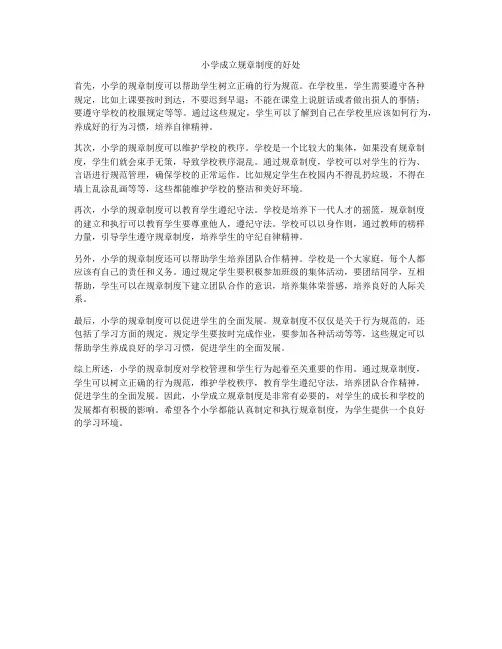 小学成立规章制度的好处