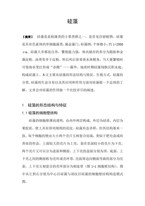 硅藻