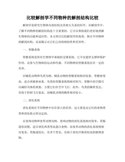 比较解剖学不同物种的解剖结构比较