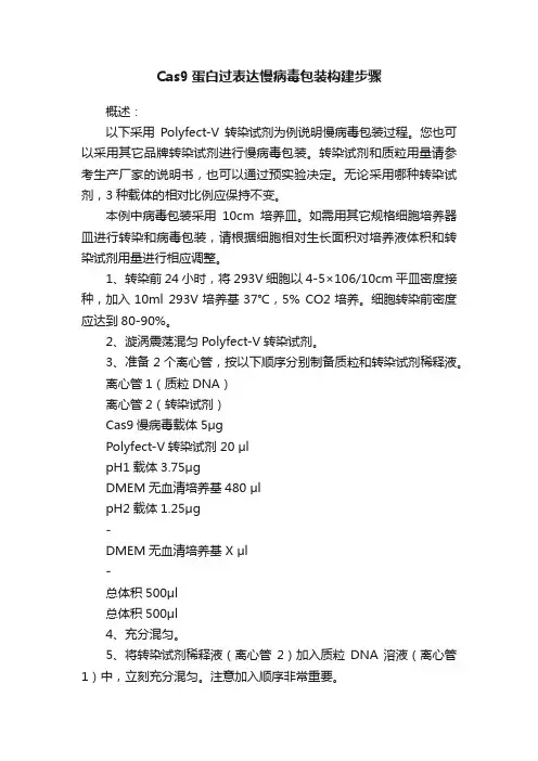 Cas9蛋白过表达慢病毒包装构建步骤