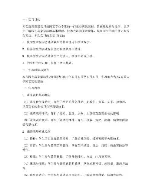 园艺蔬菜栽培实习报告