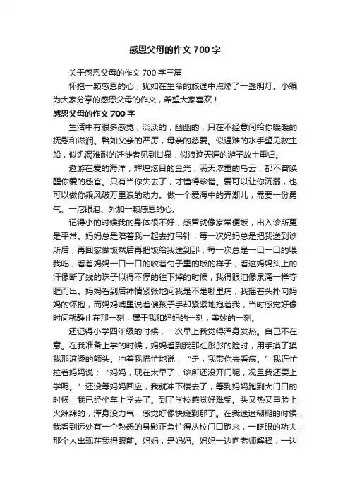 关于感恩父母的作文700字三篇