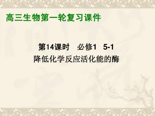 高三生物一轮复习  必修1  5-1 降低化学反应活化能的酶