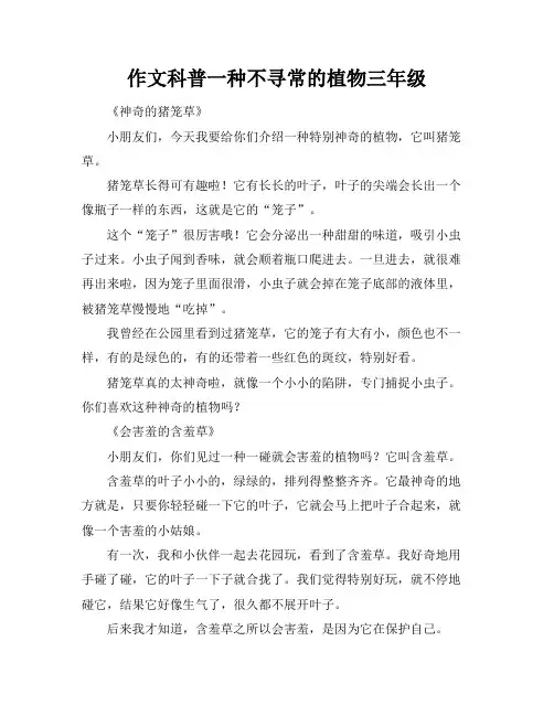 作文科普一种不寻常的植物三年级