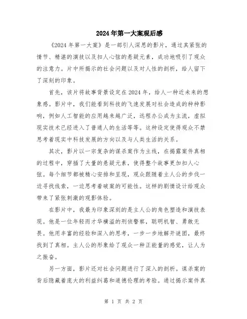 2024年第一大案观后感