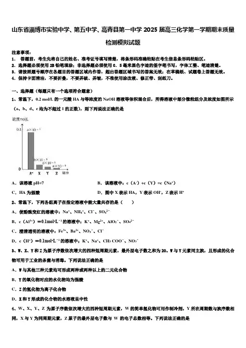 山东省淄博市实验中学、第五中学、高青县第一中学2025届高三化学第一学期期末质量检测模拟试题含解析