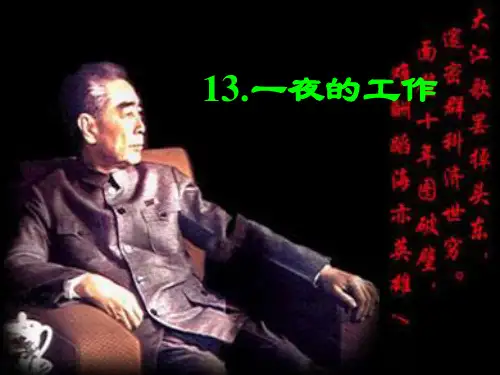 《一夜的工作》ppt课件3