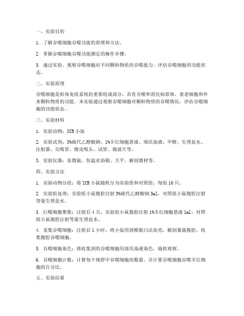 吞噬细胞的实验报告
