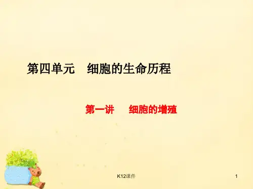 高三生物一轮复习 第四单元 细胞的生命历程 第一讲 细胞的增殖课件(必修1)