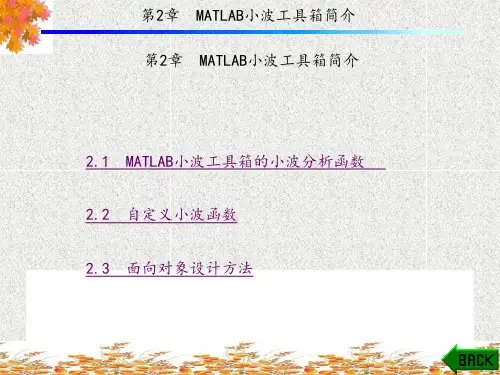 基于MATLAB的小波分析应用(第二版)(周伟)1-4章 (2)
