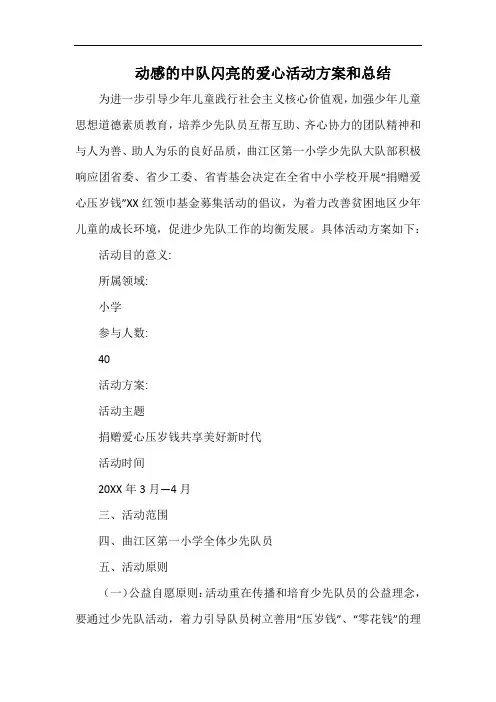 小学动感的中队闪亮的爱心活动方案和总结.docx