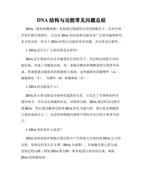 DNA结构与功能常见问题总结