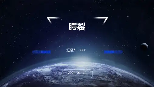 腭裂PPT演示课件