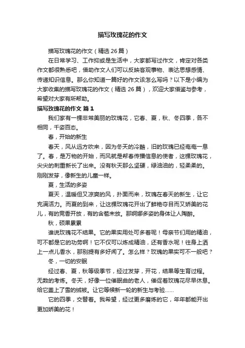 描写玫瑰花的作文（精选26篇）