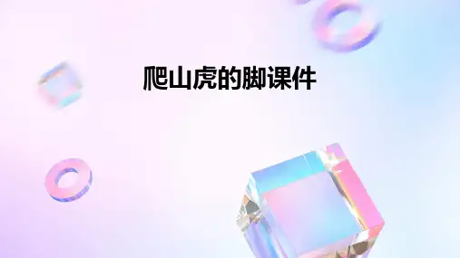 爬山虎的脚ppt课件