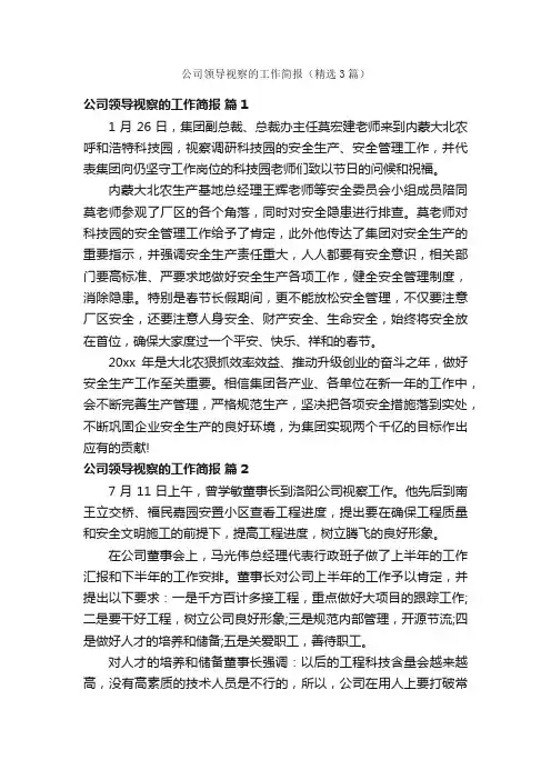 公司领导视察的工作简报（精选3篇）