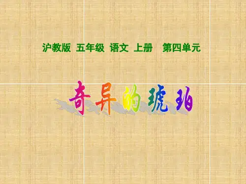 《奇异的琥珀》ppt(沪教版)PPT课件