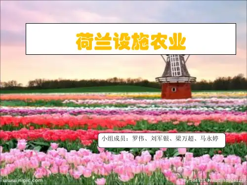 荷兰基本情况及设施农业