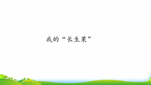 27我的长生果-课件