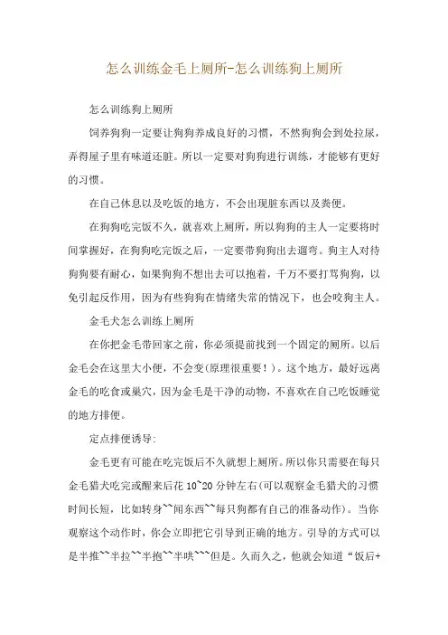 怎么训练金毛上厕所-怎么训练狗上厕所