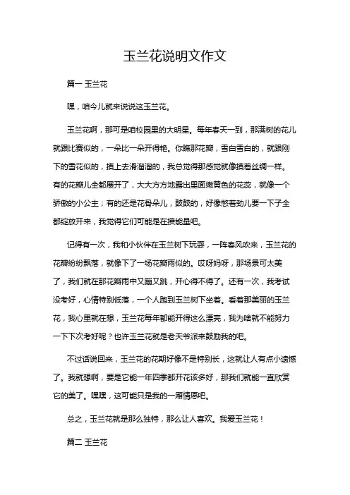 玉兰花说明文作文