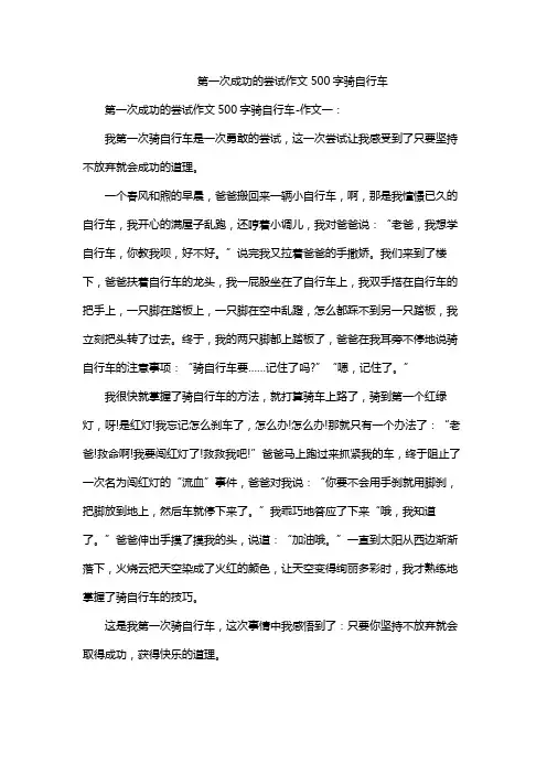 第一次成功的尝试作文500字骑自行车