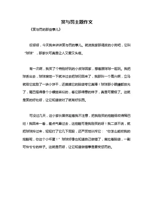 赏与罚主题作文