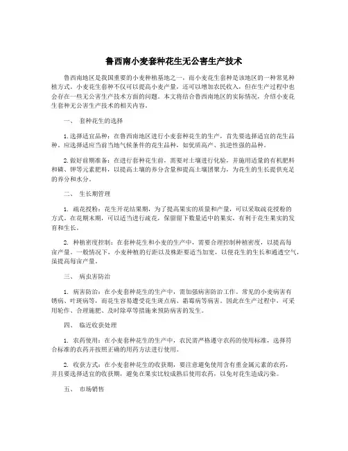 鲁西南小麦套种花生无公害生产技术