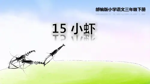 部编版三年级下册语文《小虾》PPT课文课件